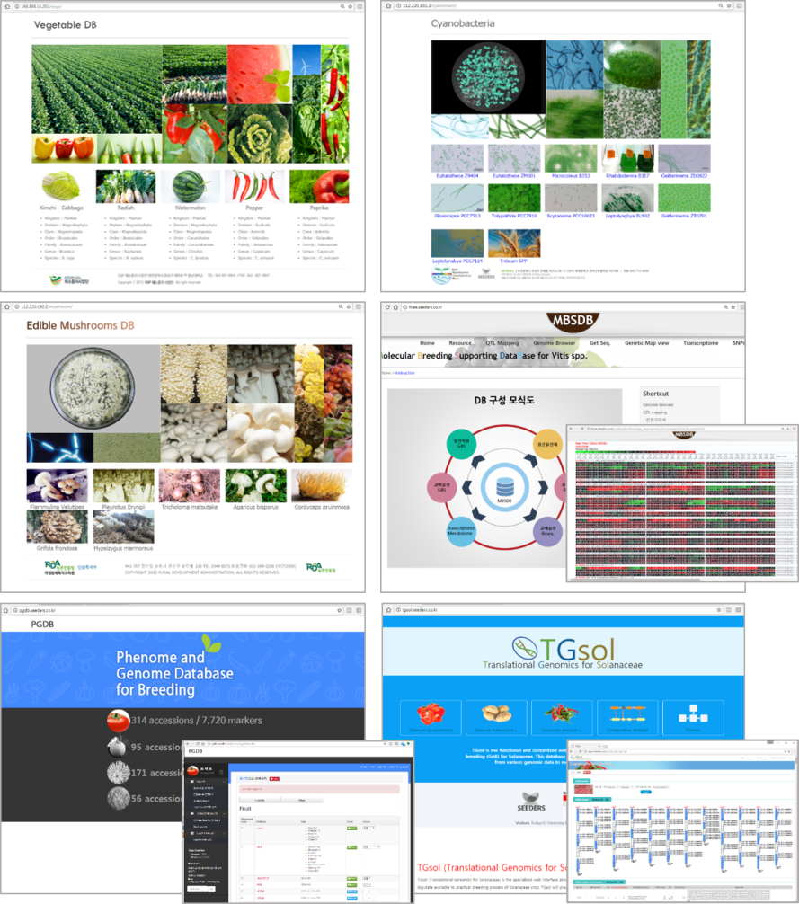 e80f3283271a6a97e49886eea9c069c1_1713438084_5412.png