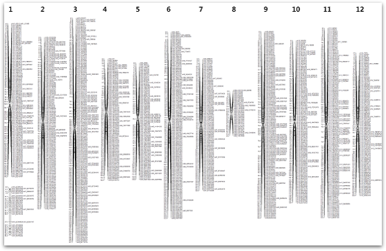 454334b821ce5a1d712106169390939a_1560233341_5845.png
